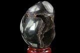 Septarian Dragon Egg Geode - Black Crystals #88334-2